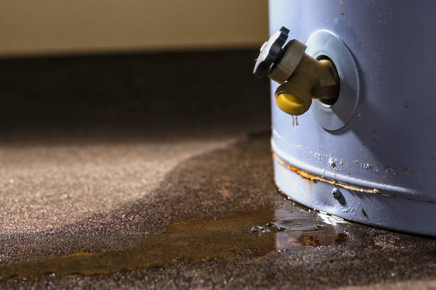 Water damage restoration insurance claims in Bargaintown, NJ