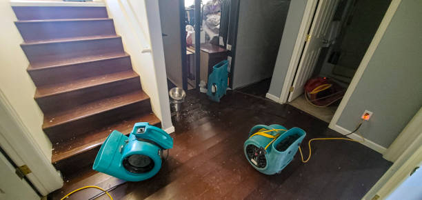 Best Residential water damage restoration  in Bargaintown, NJ