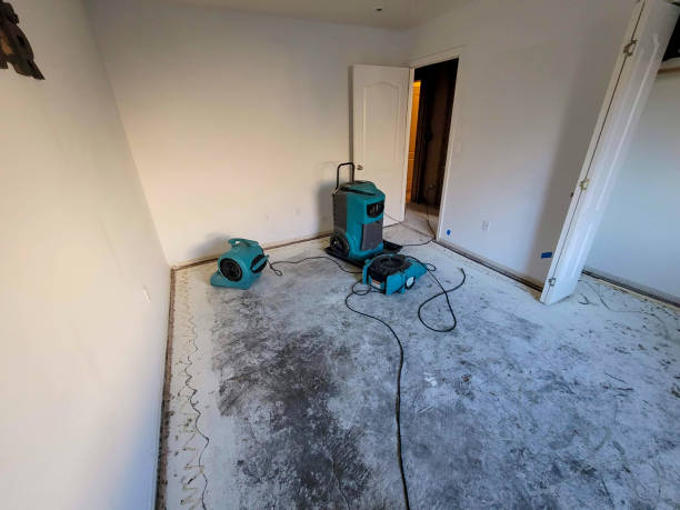 Best Water damage restoration near me  in Bargaintown, NJ