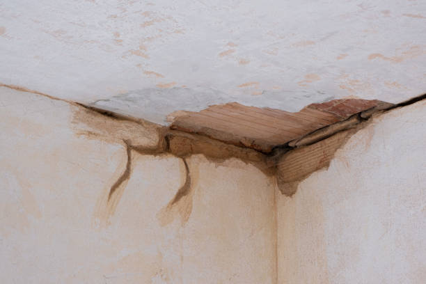 Best Sewage cleanup and water damage restoration  in Bargaintown, NJ